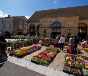 Marché aux fleurs et aux plants