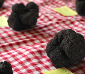 Marché aux truffes