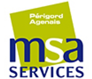 MSA Services