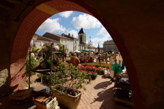 Marché aux fleurs et aux plants