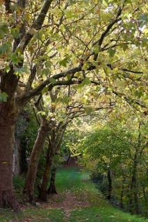 Le Chemin de Ronde