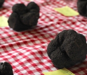 Marché aux truffes