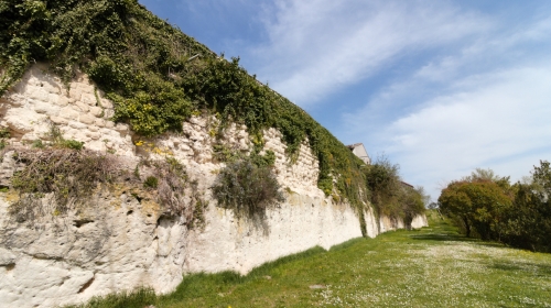 Visites guidées